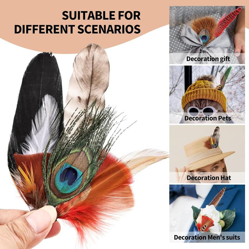 12PCS Hat Feathers, Assorted Natural Colorful Feathers for DIY Western Cowboy Hats,Christmas Party Hats,Fedora, Oktoberfest,Trilby Hats