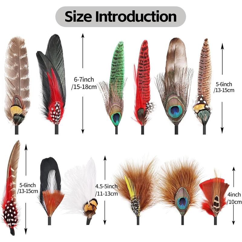 12PCS Hat Feathers, Assorted Natural Colorful Feathers for DIY Western Cowboy Hats,Christmas Party Hats,Fedora, Oktoberfest,Trilby Hats