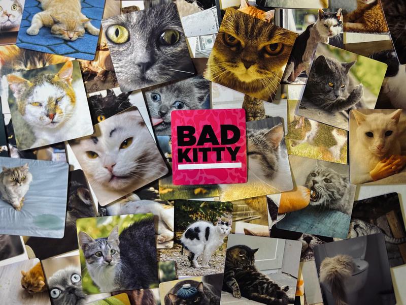 BAD KITTY Party Game + After Dark Expansion Set - The Ultimate Meme Game with Cats - The Cats Against Humans Card Game for Friends, Family, Fun Parties and Board Games Night with Your Group