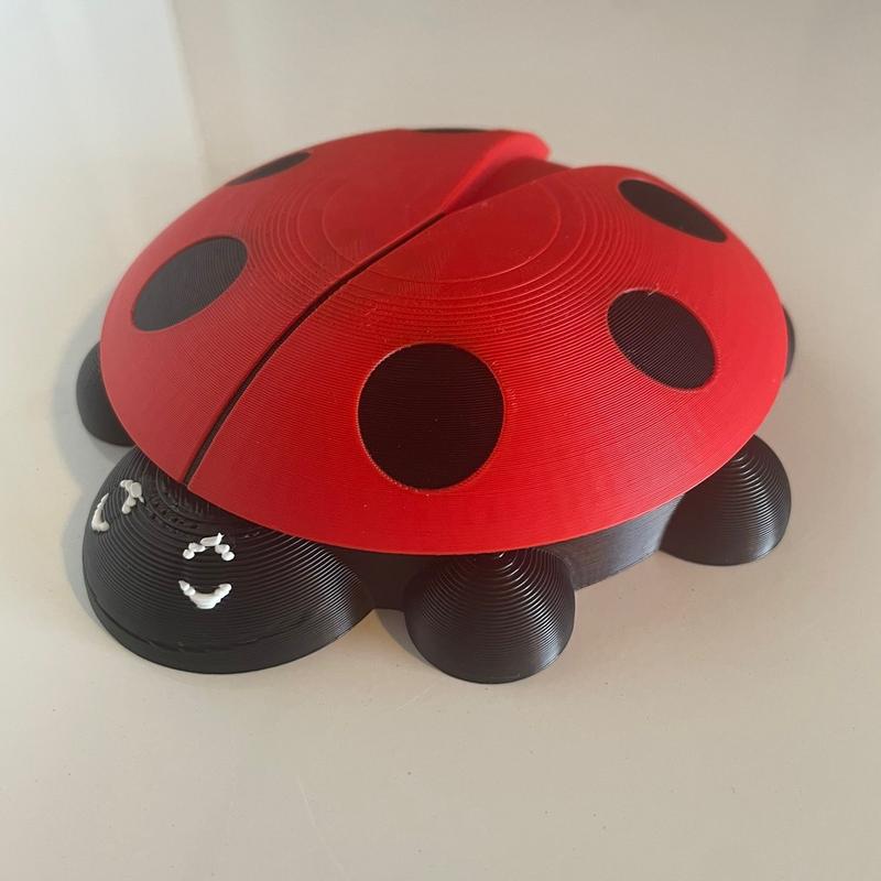 Millennial Ladybug Sandbox Set with Castle Mold, Rake, Shovel, and Free Mystery Critter