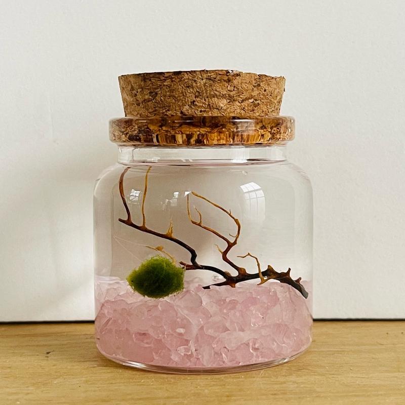 Moss Ball Pet Terrarium Kit with Natural Crystal Gravel - DIY Handcrafted Miniature Ecosystem for Home and Office Decor - Glass