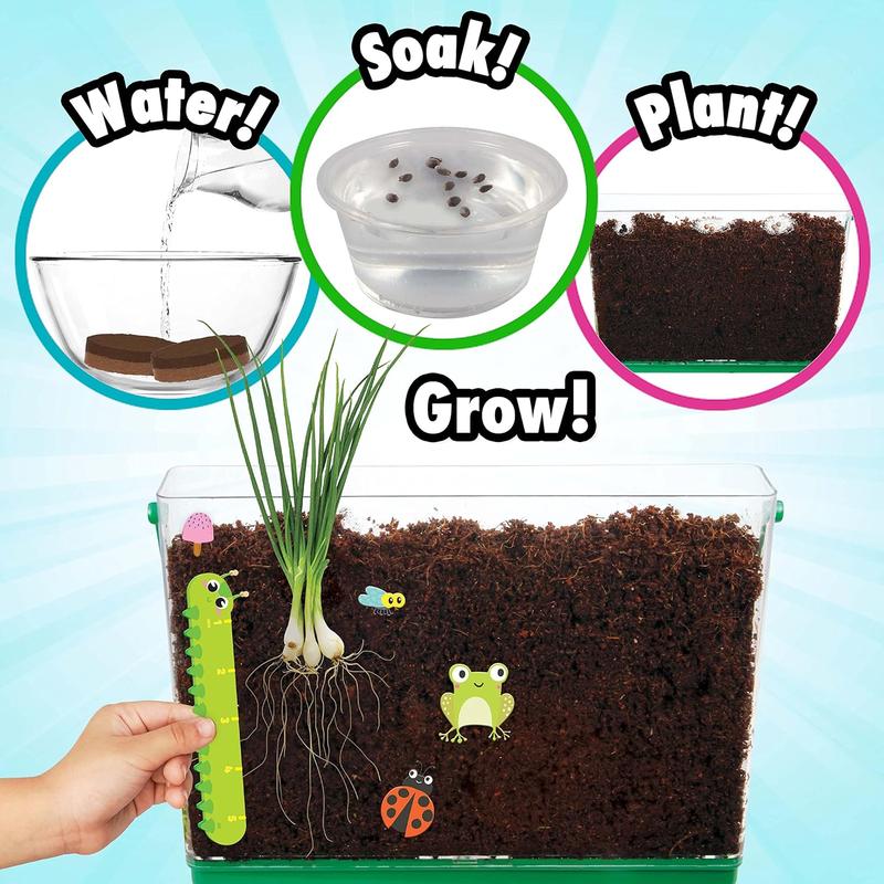 My first root viewer - decorate and grow your own garden - children's stem kit - including soil and vegetable seeds - science education youth and children's gardening kit, 6 years old and above, multi-color