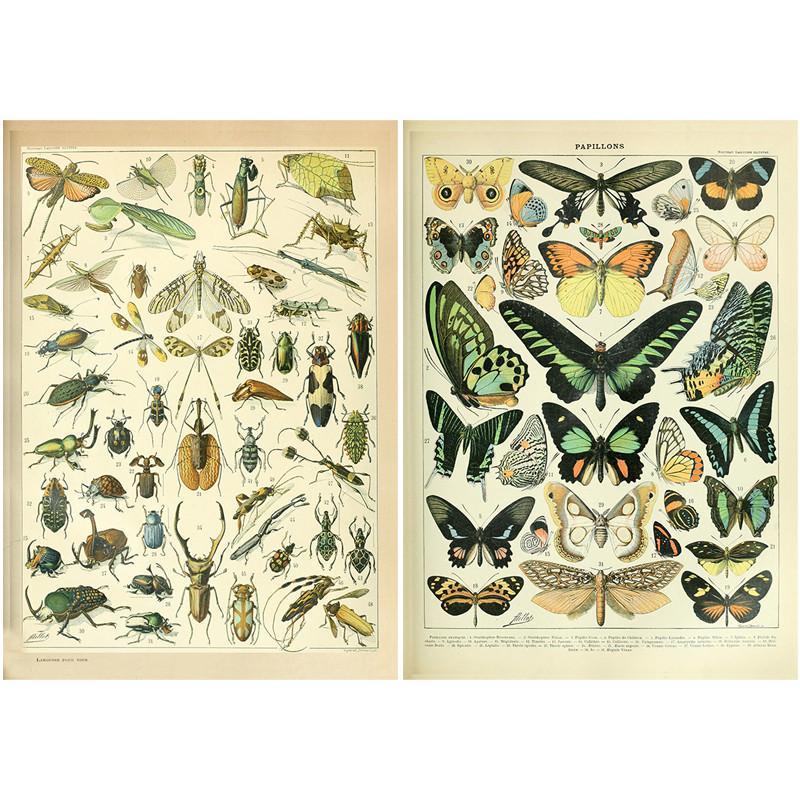 10pcs Insect Pattern Material Paper, Retro Handbook Background Paper, DIY Decorative Supplies For Scrapbooking & Journal Making And Gift Wrapping