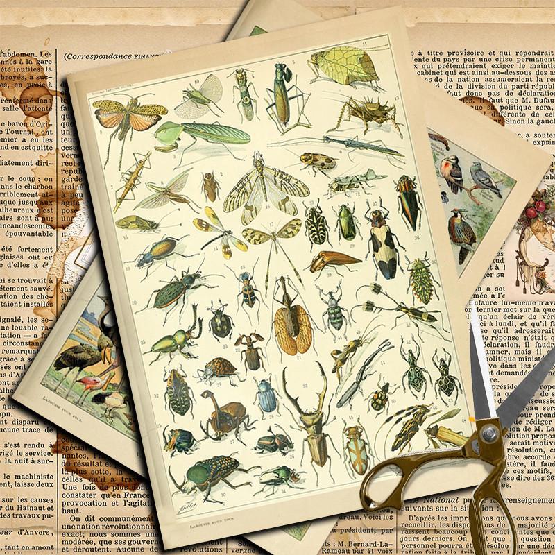 10pcs Insect Pattern Material Paper, Retro Handbook Background Paper, DIY Decorative Supplies For Scrapbooking & Journal Making And Gift Wrapping