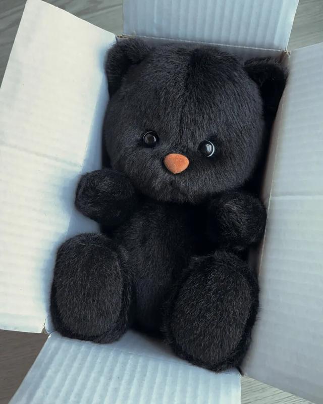 Boba The Black Teddy Bear Bear Gift