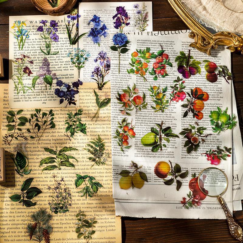 Vintage Plant & Animal Pattern Sticker, 240pcs set DIY Decorative Sticker, DIY Decal for Scrapbooking, Journaling, Gift Wrapping