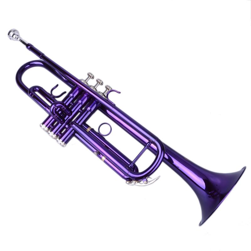 VINCIGO B Flat Trumpet, Brass B Flat Trumpet Violet with Case Golden for Scholars at All Satages