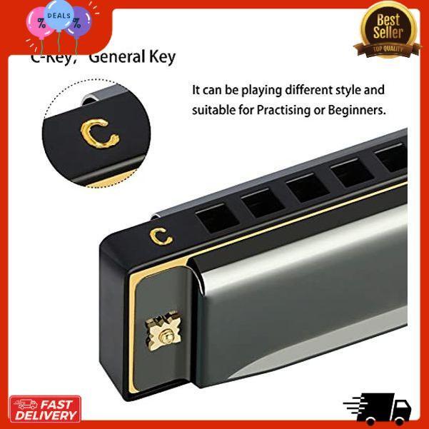 EastRock Blues Harmonica Mouth Organ 10 Hole C Key with Case, Diatonic Harmonica for Professional Player, Beginner, Students gifts, Adult, Friends, Gift Black