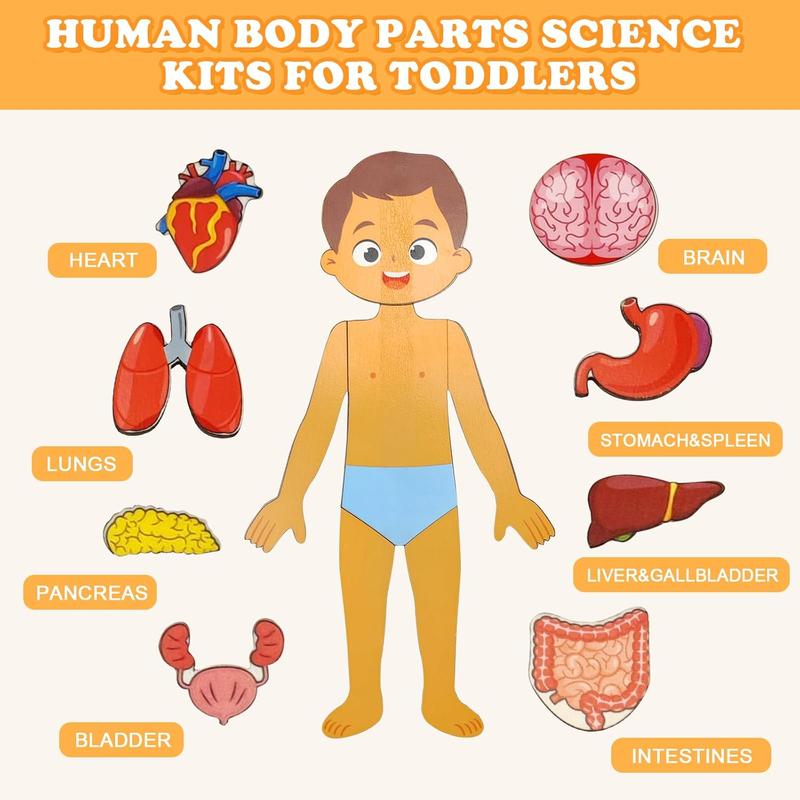 Wooden Body Puzzles for Kids, Toddler Montessori 14 count Boy Anatomy Puzzle, Human Body Learning Toy with Internal Organs Early STEM Educational Toy for Boys and Girls Ages 3 4 5 6 Years Old